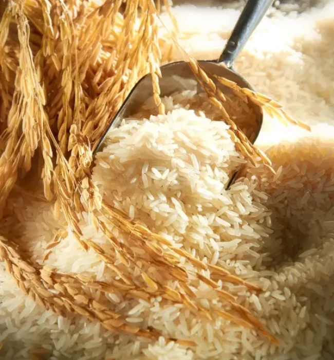 wmremove-transformed